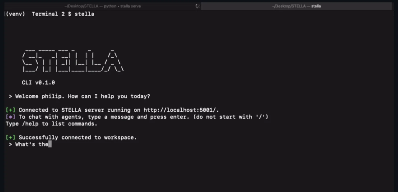 The STELLA command line interface, connected to a workspace and ready for a task
